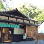春日野窯（はるひのがま）